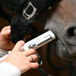NATURAL INNOV Natural'Digest flore digestive équilibrée cheval - Natural'Innov< Cheval Senior|Ulcère Cheval