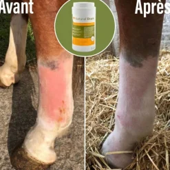 NATURAL INNOV Natural'Drain drainage foie et reins cheval - Natural'Innov< Drainant Hépatique Cheval|Drainant Rénal Cheval