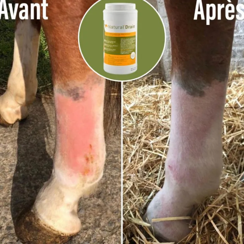 NATURAL INNOV Natural'Drain drainage foie et reins cheval - Natural'Innov< Drainant Hépatique Cheval|Drainant Rénal Cheval