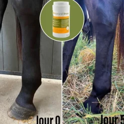 NATURAL INNOV Natural'Drain drainage foie et reins cheval - Natural'Innov< Drainant Hépatique Cheval|Drainant Rénal Cheval