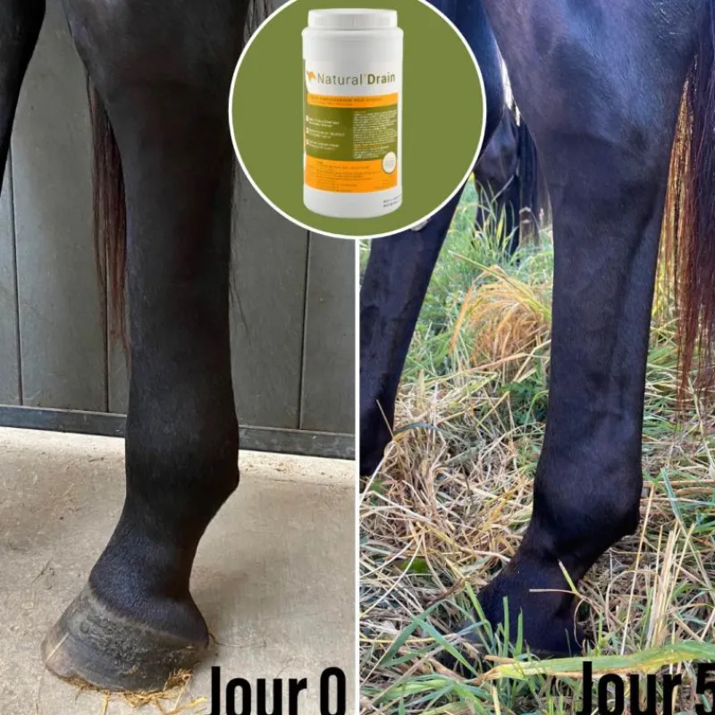 NATURAL INNOV Natural'Drain drainage foie et reins cheval - Natural'Innov< Drainant Hépatique Cheval|Drainant Rénal Cheval