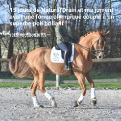 NATURAL INNOV Natural'Drain drainage foie et reins cheval - Natural'Innov< Drainant Hépatique Cheval|Drainant Rénal Cheval