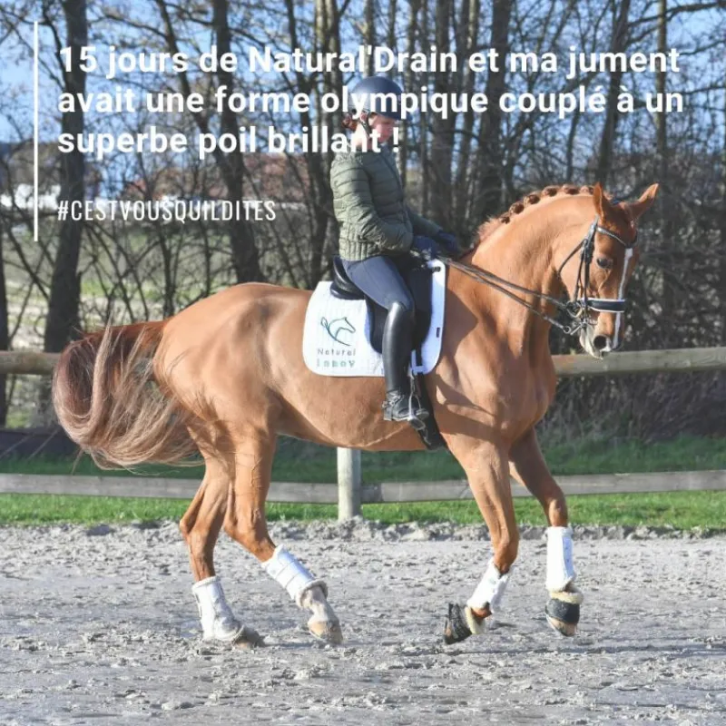 NATURAL INNOV Natural'Drain drainage foie et reins cheval - Natural'Innov< Drainant Hépatique Cheval|Drainant Rénal Cheval