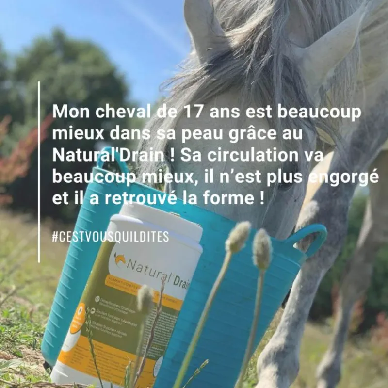 NATURAL INNOV Natural'Drain drainage foie et reins cheval - Natural'Innov< Drainant Hépatique Cheval|Drainant Rénal Cheval