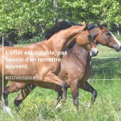NATURAL INNOV Natural'Fly spray anti-insecte cheval - Natural'Innov< Produit Naturel Anti-Mouche Cheval|Spray Anti-Mouche Et Anti-Insectes Cheval