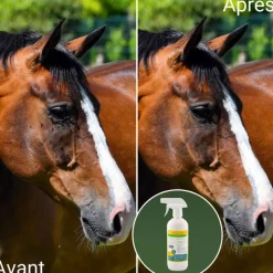 NATURAL INNOV Natural'Fly spray anti-insecte cheval - Natural'Innov< Produit Naturel Anti-Mouche Cheval|Spray Anti-Mouche Et Anti-Insectes Cheval