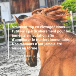 NATURAL INNOV Natural'Immune immunité renforcée cheval - Natural'Innov< Système Immunitaire Cheval|Cheval Senior