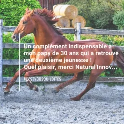 NATURAL INNOV Natural'Immune immunité renforcée cheval - Natural'Innov< Système Immunitaire Cheval|Cheval Senior