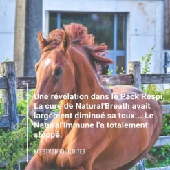 NATURAL INNOV Natural'Immune immunité renforcée cheval - Natural'Innov< Système Immunitaire Cheval|Cheval Senior
