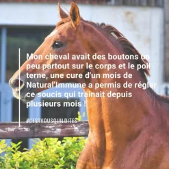 NATURAL INNOV Natural'Immune immunité renforcée cheval - Natural'Innov< Système Immunitaire Cheval|Cheval Senior