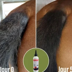 NATURAL INNOV Natural'Itch démangeaisons cheval dermite - Natural'Innov< Démangeaisons Cheval|Dermite Estivale Cheval