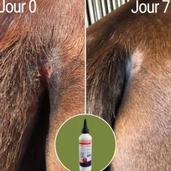 NATURAL INNOV Natural'Itch démangeaisons cheval dermite - Natural'Innov< Démangeaisons Cheval|Dermite Estivale Cheval