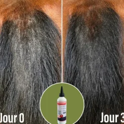 NATURAL INNOV Natural'Itch démangeaisons cheval dermite - Natural'Innov< Démangeaisons Cheval|Dermite Estivale Cheval