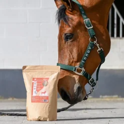 NATURAL INNOV Natural'Mash cheval -< Friandises Cheval|Mash Cheval