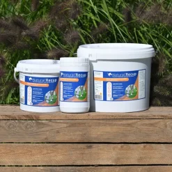 NATURAL INNOV Natural'Recup argile pour tendons et articulations cheval - Natural'Innov< Equipement Concours|Argile Cheval