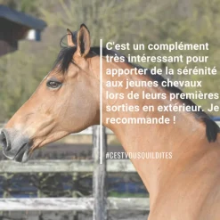 NATURAL INNOV Natural'Relax stress cheval - Natural'Innov< Anti-Stress Cheval Non Dopant|Chaleur Jument