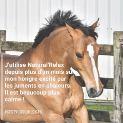 NATURAL INNOV Natural'Relax stress cheval - Natural'Innov< Anti-Stress Cheval Non Dopant|Chaleur Jument