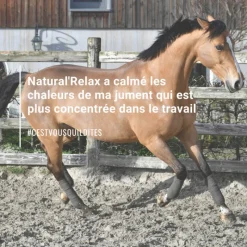 NATURAL INNOV Natural'Relax stress cheval - Natural'Innov< Anti-Stress Cheval Non Dopant|Chaleur Jument