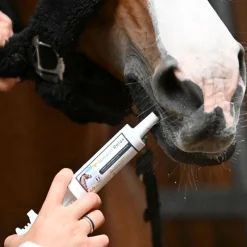 NATURAL INNOV Natural'Relax stress cheval - Natural'Innov< Anti-Stress Cheval Non Dopant|Chaleur Jument