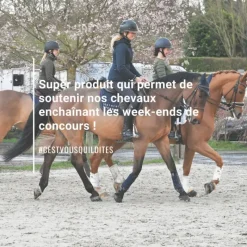 NATURAL INNOV Natural'Top vitalité durable cheval - Natural'Innov< Cmv Cheval|Prise De Muscle Cheval