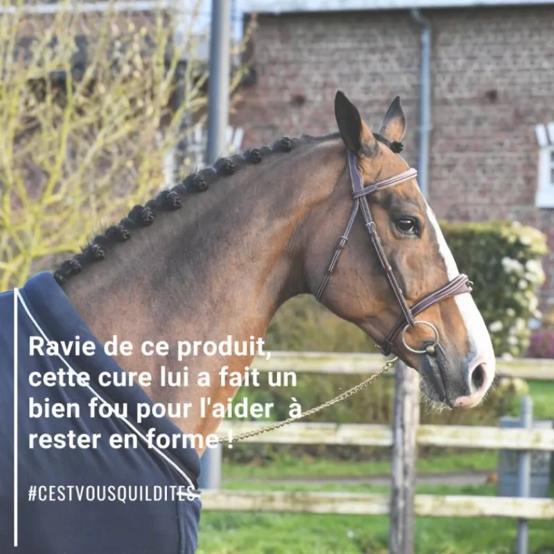 NATURAL INNOV Natural'Top vitalité durable cheval - Natural'Innov< Cmv Cheval|Prise De Muscle Cheval