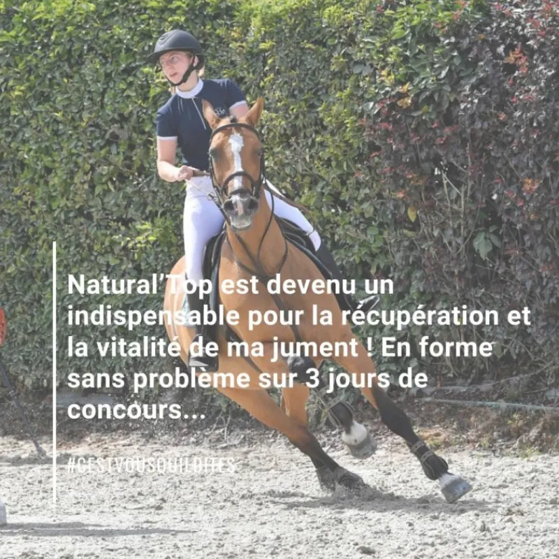 NATURAL INNOV Natural'Top vitalité durable cheval - Natural'Innov< Cmv Cheval|Prise De Muscle Cheval