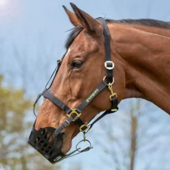 GREENGUARD Panier anti-fourbure cheval Grazing Muzzle -< Panier Anti-Fourbure Cheval|Matériel De Prairie