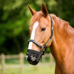 STABLE PRO Panier muselière cheval anti-fourbure< Panier Anti-Fourbure Cheval|Cheval En Surpoids