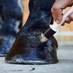 RAVENE Pediguard onguent cheval noir -< Sabot Cheval Sec Et Cassant|Graisse À Pied Cheval