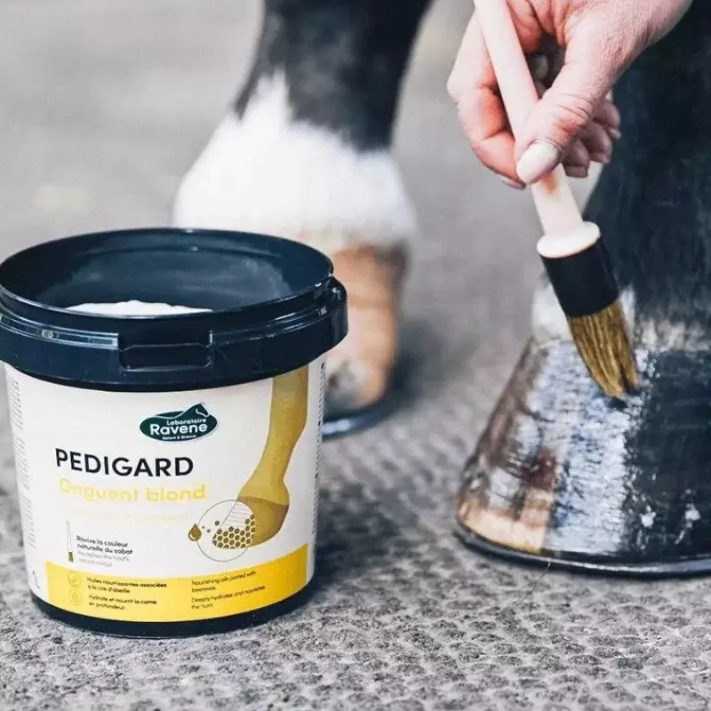 RAVENE Pediguard onguent cheval blond -< Sabot Cheval Sec Et Cassant|Graisse À Pied Cheval