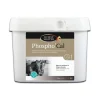 HORSE MASTER Phospho'cal 2kg -< Croissance Poulain Et Jeune Cheval