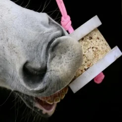 HAPPY CRACKERS Pierre à lécher cheval Happy Wild -< Friandises Cheval|Pierre À Sel Et Pierre À Lécher