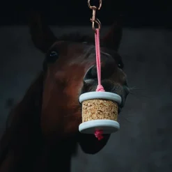 HAPPY CRACKERS Pierre à lécher cheval Happy Wild -< Friandises Cheval|Pierre À Sel Et Pierre À Lécher