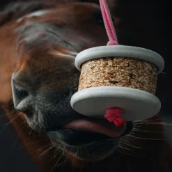 HAPPY CRACKERS Pierre à lécher cheval Happy Wild -< Friandises Cheval|Pierre À Sel Et Pierre À Lécher