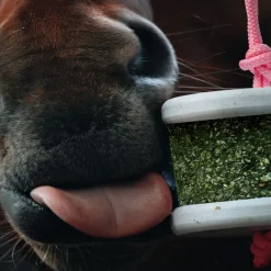 HAPPY CRACKERS Pierre à lécher cheval Happy Wild -< Friandises Cheval|Pierre À Sel Et Pierre À Lécher