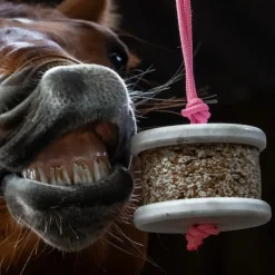 HAPPY CRACKERS Pierre à lécher cheval Happy Wild -< Friandises Cheval|Pierre À Sel Et Pierre À Lécher