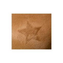 STABLE PRO Pochoirs de tonte chevaux divers motifs< Accessoires Pansage
