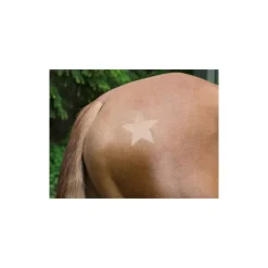 STABLE PRO Pochoirs de tonte chevaux divers motifs< Accessoires Pansage