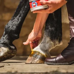 CARR AND DAY AND MARTIN Pommade sabots Cornucrescine -< Sabot Cheval Sec Et Cassant|Graisse À Pied Cheval