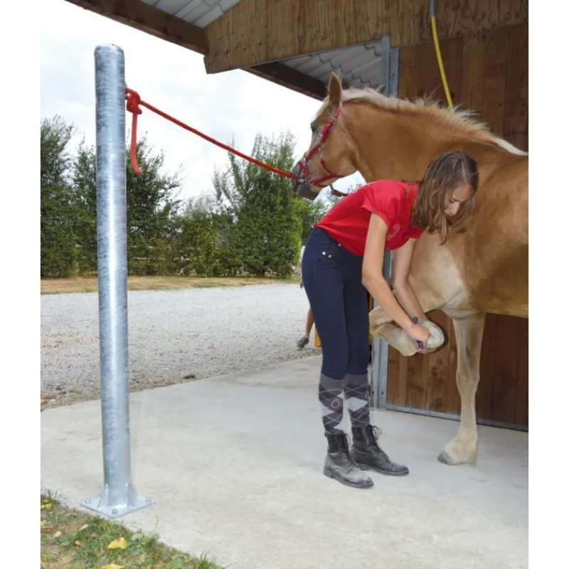 LA GEE Poteau d'attache cheval - La Gée< Matériel De Prairie|Matériel D'Écurie