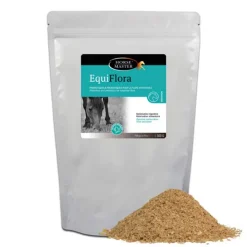 HORSE MASTER Pré et probiotiques cheval 500 g Equiflora -< Kotwasser|Cheval Maigre