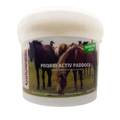 GALOWADE Probio Activ Paddock Surpâturage cheval -< Matériel De Prairie|Entretien Boxes