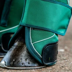 HORSEWARE Protection de transport cheval Signature -< Equipement Concours|Protections De Transport
