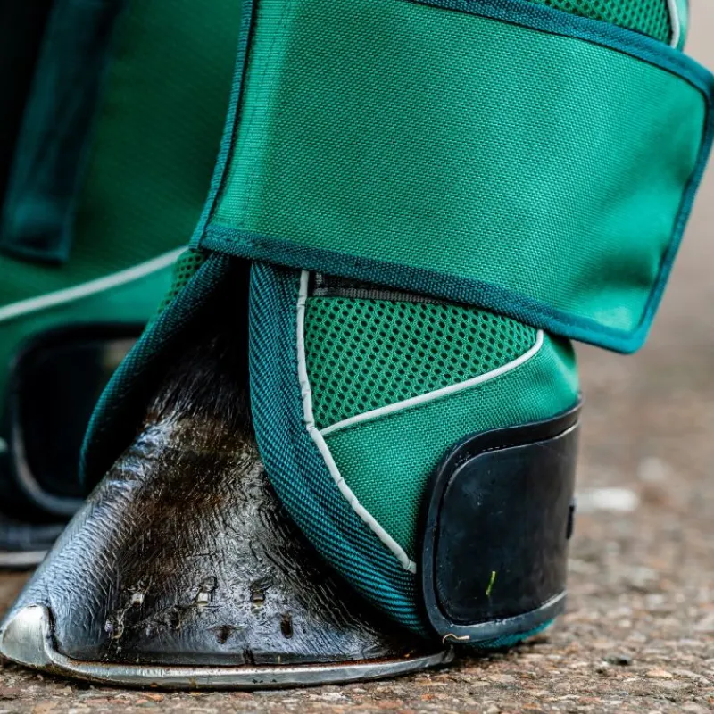 HORSEWARE Protection de transport cheval Signature -< Equipement Concours|Protections De Transport