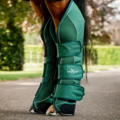 HORSEWARE Protection de transport cheval Signature -< Equipement Concours|Protections De Transport