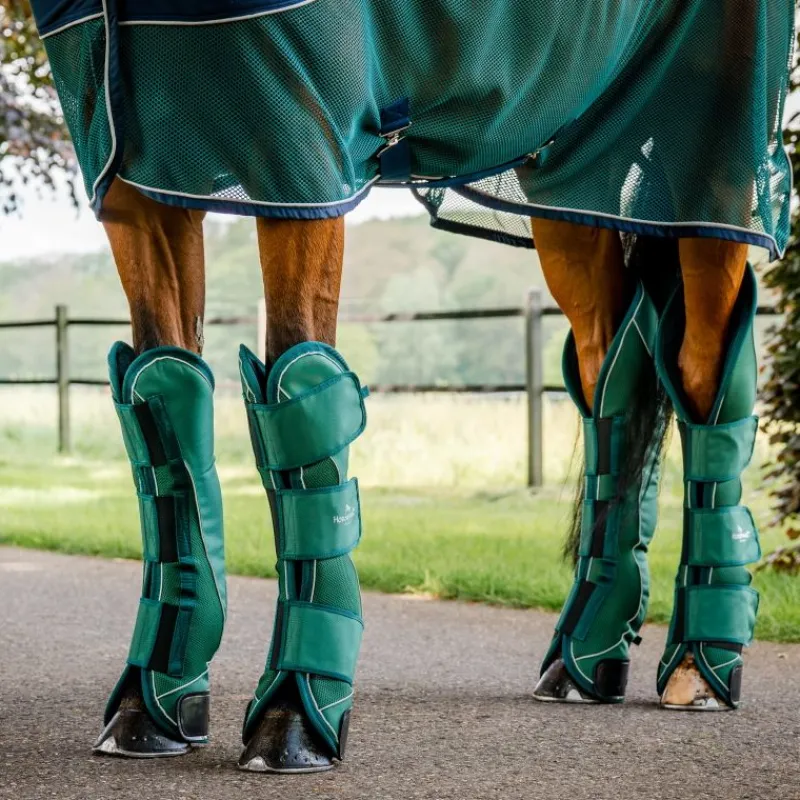 HORSEWARE Protection de transport cheval Signature -< Equipement Concours|Protections De Transport