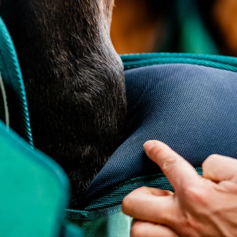 HORSEWARE Protection de transport cheval Signature -< Equipement Concours|Protections De Transport