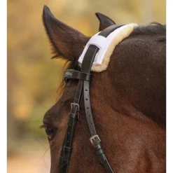 WALDHAUSEN Protection muserolle têtière mouton véritable -< Accessoires De Bridon Cheval
