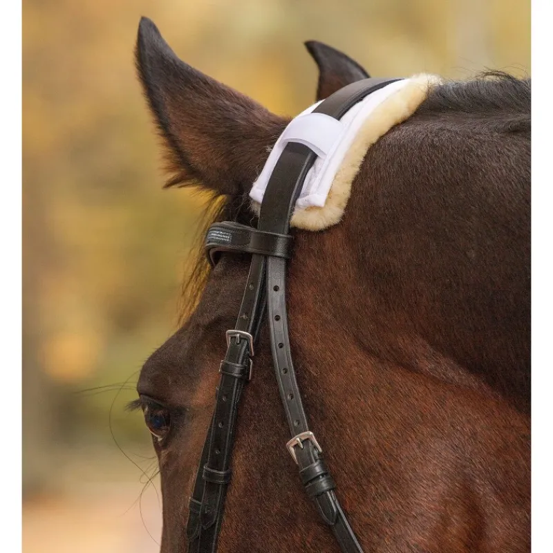 WALDHAUSEN Protection muserolle têtière mouton véritable -< Accessoires De Bridon Cheval