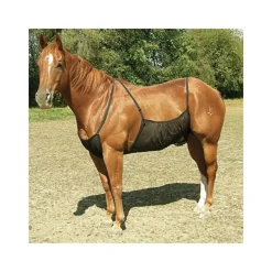 CASHEL Protection ventrale anti-mouche cheval Belly Guard -< Couvertures Anti-Mouche Cheval|Couvertures Anti-Mouche Cheval
